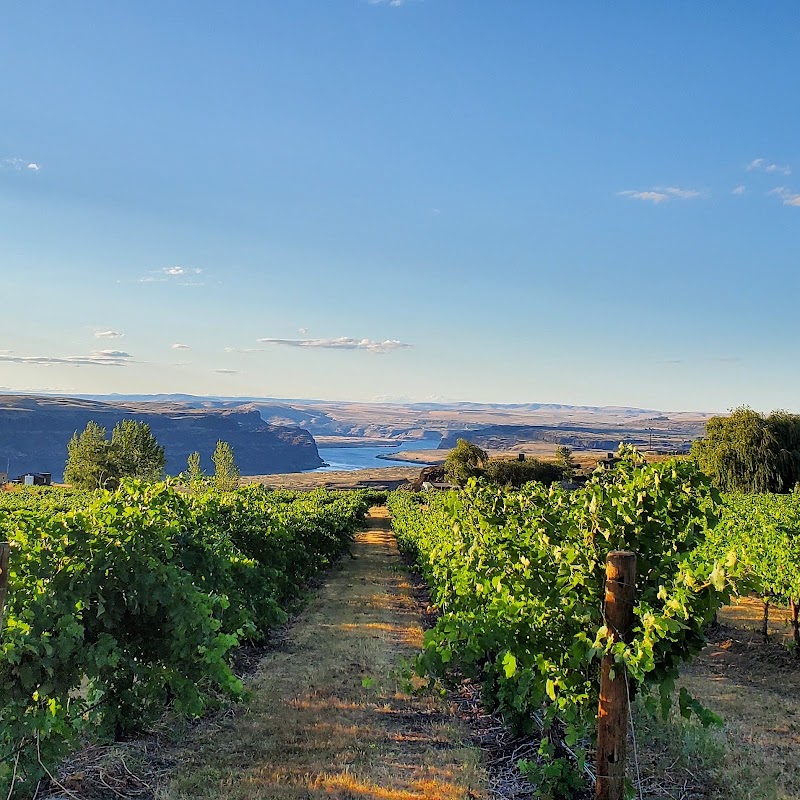 Photo of Cave B Estate Winery-Main Quincy Tasting Room & Winery