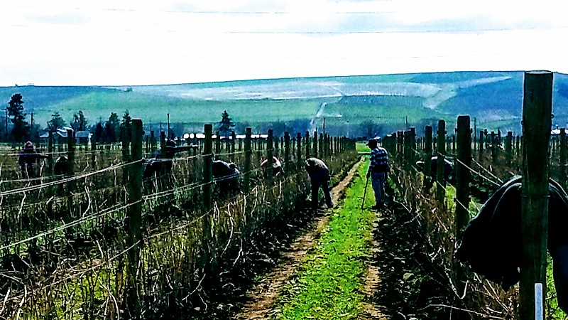 Photo of Rôtie Cellars - Seattle Tasting Room
