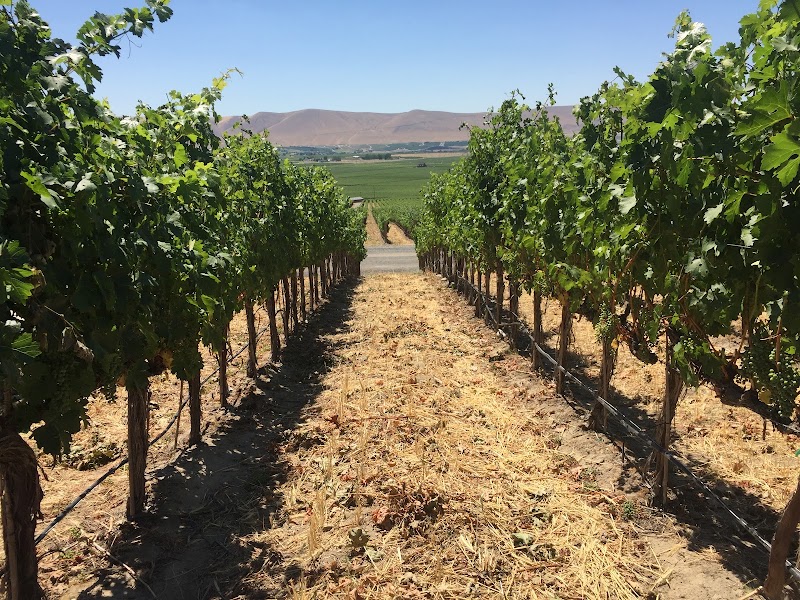 Photo of Col Solare Winery