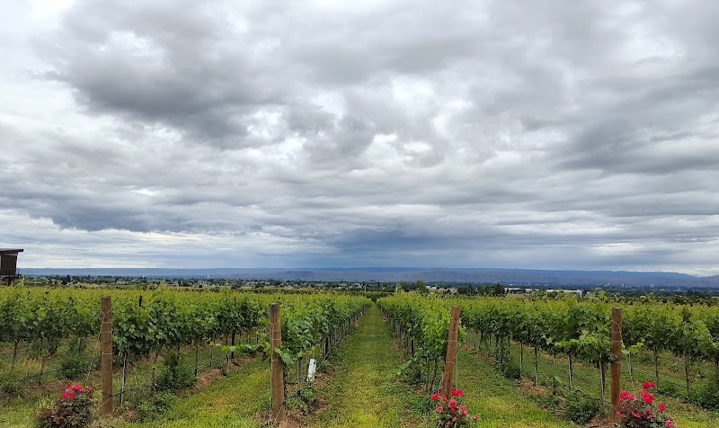 Photo of Two Mountain Winery