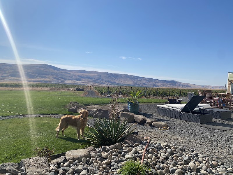 Photo of Knox Road Vineyard