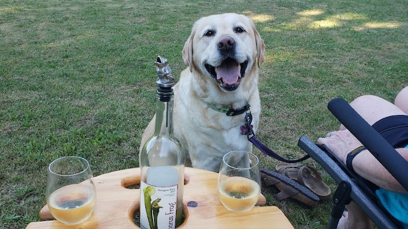 Photo of Chorus Frog Winery