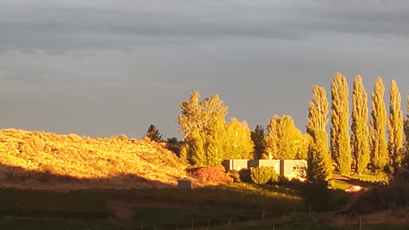 Photo of Naches Heights Vineyard