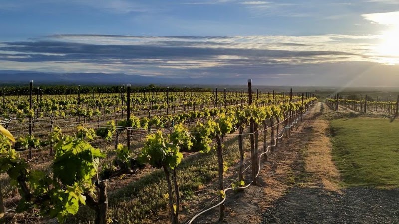 Photo of Naches Heights Vineyard