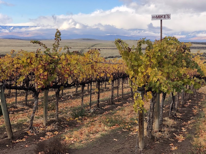 Photo of Eight Bells Winery
