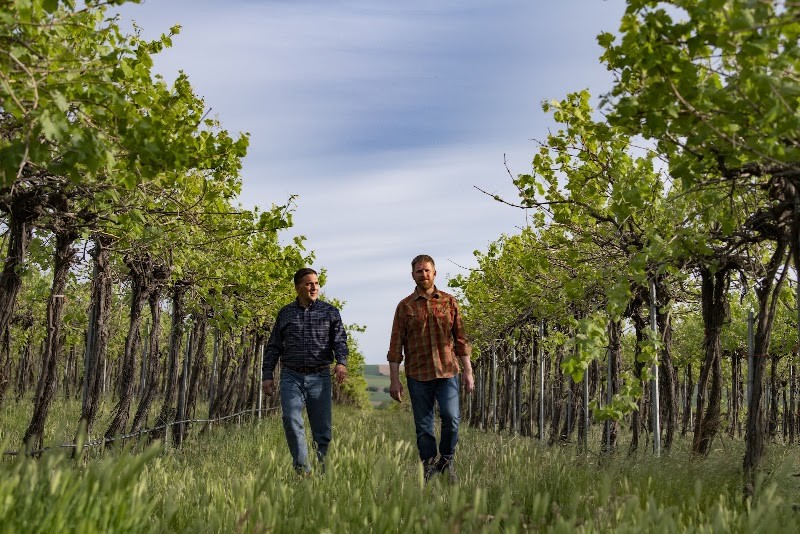 Photo of Prospice Wines