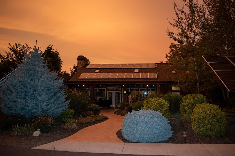 Photo of DoodleVines Winery & Event Center